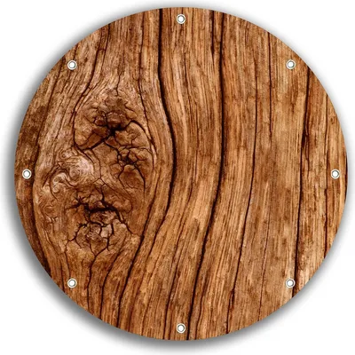 Produktbild von Wallario rundes Outdoor-Poster für Garten oder Balkon, Motiv Holzstamm mit Asteinschluss, 30 cm Durchmesser