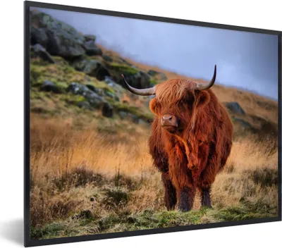 Produktbild von MuchoWow® Gerahmtes Poster Schottische Highlander - Gras - Steine 40x30 cm - Poster mit Schwarzem Bilderrahmen Wandposter Rahmen Foto Bilder - Kunstposter - Wanddekorationen