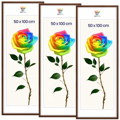 Produktbild von MG Design 3er Set Bilderrahmen Braun 50x100 cm - Posterrahmen Echtholz mit Acrylglas, verstärkte Wandaufhängung, hoch/quer