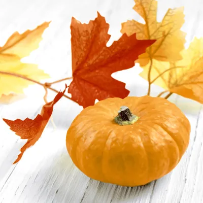 Produktbild von 20 Servietten Herbstblätter und Kürbis 24cm