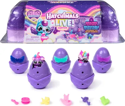 Produktbild von Hatchimals Alive Neon Rainbow Eierkarton Spielset - mit 5 selbstschlüpfenden Eiern und 11 Accessoires für fantasievollen Spielspaß, 3 Jahr(e), Mehrfarbig