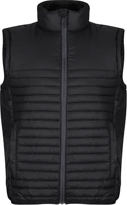 Immagine prodotto di Regatta Honestly Made TRA861 | Honestly Made Scaldacorpo isolato riciclato idrorepellente - Colore: Nero - Taglia: XS