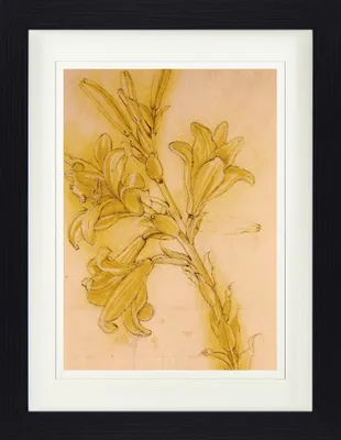 Produktbild von Leonardo Da Vinci Gerahmtes Bild Mit Edlem Passepartout | Wand-Bilder | Im Bilderrahmen - Lilienstudie, 1480-1485 (40 x 30 cm)