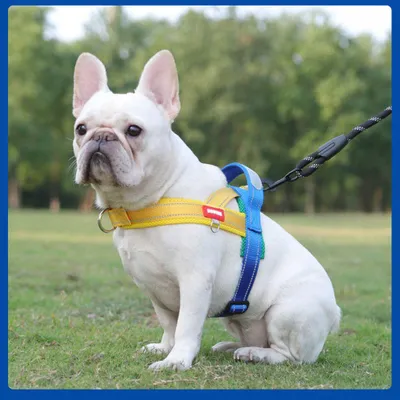 Image de Harnais Ajustable pour Chien, Confortable Léger Réfléchissant avec Poignée Contrôle et Anneau - Jaune/Bleu/Vert S