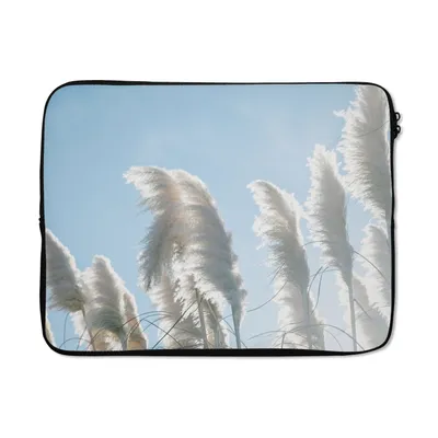 Produktbild von MuchoWow® Laptop Hülle 15 Zoll Himmel - Gras - Pampasgras Laptoptasche - Laptoptasche - Sleeve - Rundum-Schutz