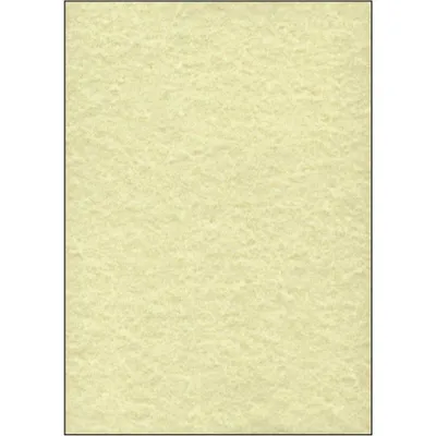 Produktbild von SIGEL DP605 Struktur-Papier, Perga champagne, A4, 90 g/m², 100 Blatt