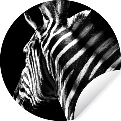 Produktbild von MuchoWow® Runde Wandtattoo - Wandsticker Tapete Aufkleber Zebra - Tier - Weiß - Schwarz und Weiß Ø 100 cm Selbstklebend und Repositionierbar - Wandaufkleber - Kreis - Tapetenkreis - Wandbild rund - Schlafzimmerdekoration - Wanddeko - runde Tapete - Kunst für zu Hause