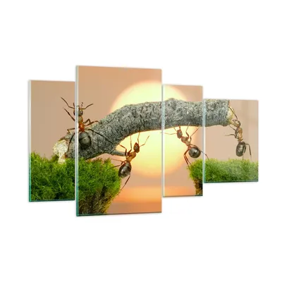 Produktbild von Bilder auf glas - Tiere Ameisen Brücke Natur - 120x70cm - Glasbilder - Wandbilder - Kunstdruck - zum Aufhängen bereit - Wanddekoration aus Glas - Glas Bilder - Wandbild auf Glas - GDL120x70-2104