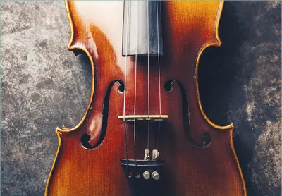 Produktbild von Wallario Fototapete Vliestapete, seidenmatte Oberfläche, einfache Verarbeitung, Größe 200 x 140 cm, Motiv Nahaufnahme einer alten Violine