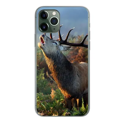 Produktbild von MuchoWow® Handyhülle Schutzhülle Hülle für iPhone 11 Pro Hirsche - Wald - Nebel Silikon Softcase Handy Hülle - Handy