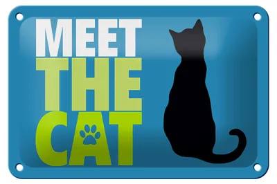 Produktbild von Blechschild Spruch 18x12cm meet the cat Katze
