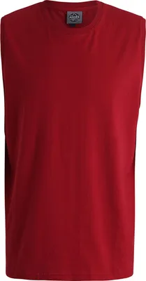 Produktbild von Übergrößen Tanktop Trägershirt Muscleshirt AHORN SPORTSWEAR flame red 7XL
