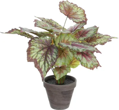 Image de Mica Decorations Plante artificielle Begonia - 38x38x40 cm - Polyester - Rouge