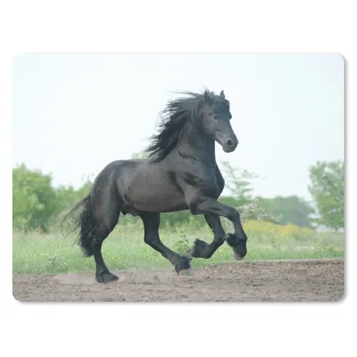 Produktbild von MuchoWow® Mauspad Mousepad Pferd - Schwarz - Natur 40x30 cm - Mousepads - Maus Mat - Pad - Mausunterlage - Anti Rutsch