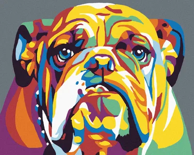 Produktbild von Zuty - Malen nach Zahlen - BULLDOGGE II, 40x50 cm, mit Keilrahmen (bereits gespannt)