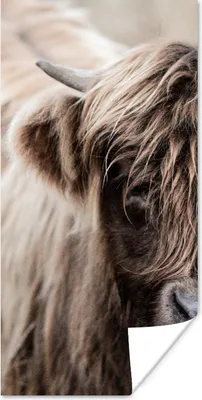 Produktbild von MuchoWow® Poster Schottischer Highlander - Kuh - Vlies 60x120 cm - Wandschmuck