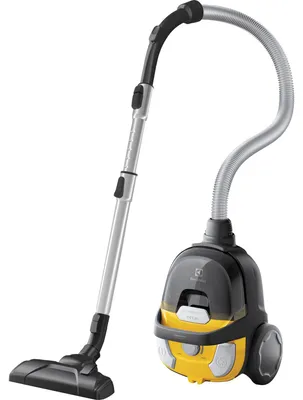 Image de Aspirateur sans sac Electrolux ECGC21-2Y Jaune
