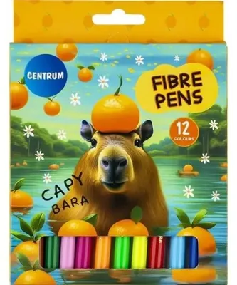Image de Flamastry Kapibara, coffret de 12 couleurs, référence 80125 - Centrum
