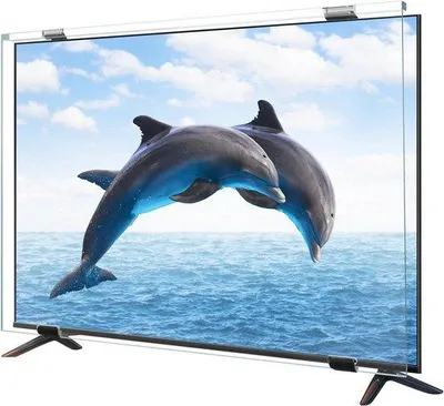 Produktbild von Schutzschild für 55-Zoll-Fernseher - Acrylpaneel - Kältewiderstandsfähig - Helligkeitsabschirmung