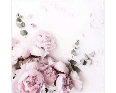 Produktbild von Glasbild Pink Flowers II 20x20 cm