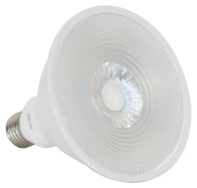 Obrázek produktu pro CENTURY LED PAR38 15 W E27 4000 K 120 × 137 mm 40d