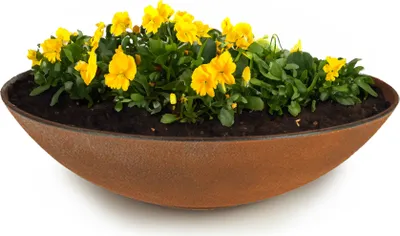 Produktbild von Flache Pflanzschale für draussen Dekoschale rund Rost-Optik 28 cm
