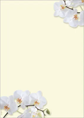 Zdjęcie produktu dla papier design sigel, DIN A4, 90 g/m², motyw "Biała Orchidea"