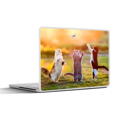 Produktbild von MuchoWow® Laptop Aufkleber Sticker Cover Katzen - Schmetterling - Sonnenuntergang - Gras - Natur 30x21 cm - Sticker für Laptop - Selbstklebend
