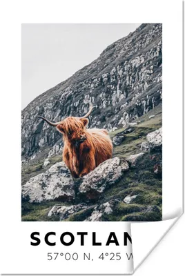 Produktbild von MuchoWow® Poster Schottland - Schottische Highlander - Berge 40x60 cm - Plakate für die Wand - Poster Babyzimmer