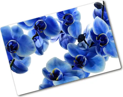 Produktbild von Tulup Glas Herdabdeckplatte - 80x52 cm - Glaskeramikkochfeld-Abdeckung Spritzschutz Glasabdeckplatte - Einteilig - Blumen & Pflanzen - Blaue Orchidee - Blau