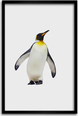Produktbild von Bild - Bilderrahmen - 40 cm x 60 cm - MDF - Rahmen - Wandkunst - Pinguin