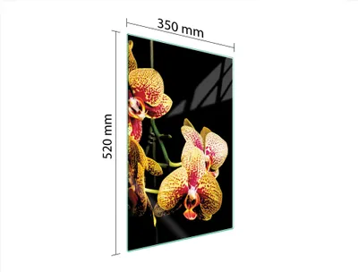 Produktbild von Herdabdeckplatte 35x52 Glaskeramikkochfeld Abdeckung Spritzschutz Glasplatte Deko Schneidebrett Orchidee Schwarz