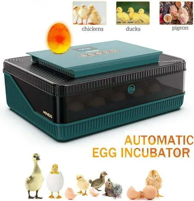 Produktbild von 25 Eier-Inkubator mit automatischem Wenden der Eier und Feuchtigkeitskontrolle, mit Eierkerze, Inkubator für Hühnereier, Wachteln, Ente, Gans