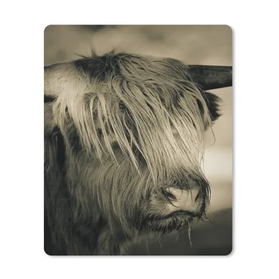 Produktbild von MuchoWow® Mauspad Mousepad Schottischer Highlander - Tiere - Haare 30x40 cm - Mousepads - Maus Mat - Pad - Mausunterlage - Mausmatten