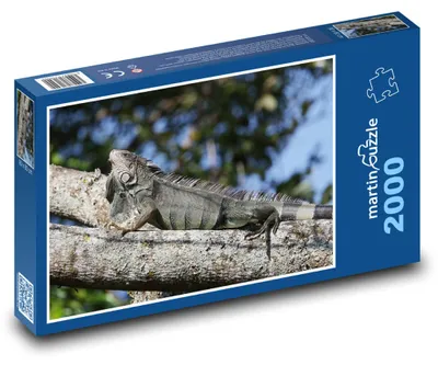 Obrázek produktu pro martinpuzzle - Puzzle 2000 - Ještěrka