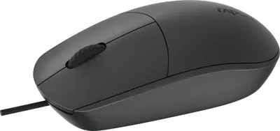 Zdjęcie produktu dla Rapoo N100-BK, Oburęczny, Optyczny, USB Typu-A, 1600 DPI, Czarny