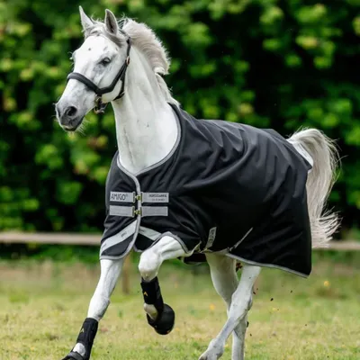 Produktbild von Horseware Ireland Outdoordecke 0g Amigo® Bravo 12 Original Regendecke Black/Titanium Grey & Silver 155 (6'9)