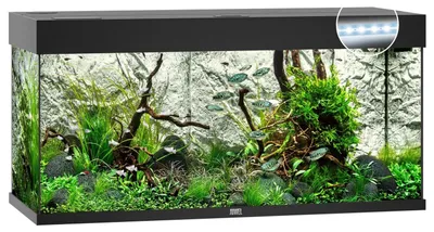 Productafbeelding van Juwel Rio 180 LED | 180L | 101 x 41 x 50CM Zwart