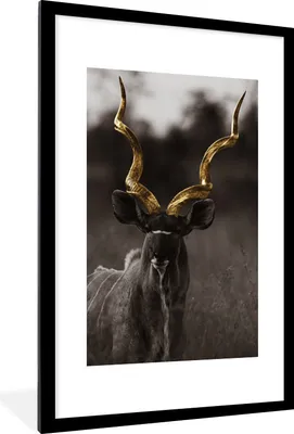 Produktbild von MuchoWow® Gerahmtes Poster Hirsch - Geweih - schwarz - gold 60x90 cm - Poster mit Schwarzem Bilderrahmen Wandposter Rahmen Foto Bilder - Dekoration - Wandposter Wohnzimmer - Hochwertig