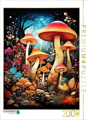 Produktbild von CALVENDO Puzzle Pilze | 2000 Teile Lege-Größe 90x67cm Foto-Puzzle für glückliche Stunden