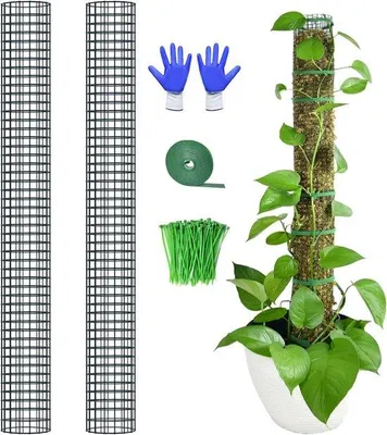 Produktbild von Mosstangen für Kletterpflanzen - Set von 2, 100 cm