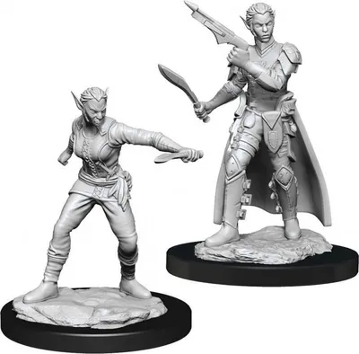Zdjęcie produktu dla Dungeons & Dragons – Nolzurs Marvelous Miniatures – Kobieta-łotrzyca-zmiennokształtna