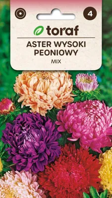 Obrázok produktu pre Vysoká pivonka aster MIX Kvetinové semená 445 Toraf