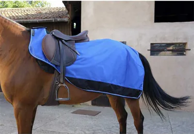 Image de Couverture de rein Equithème Tyrex 1200D - bleu/noir