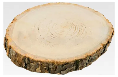 Produktbild von Runde Holzscheibe 30 cm x 2 cm