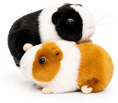 Produktbild von 2 Plüsch-Meerschweinchen für Kuschelstunden