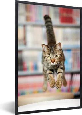 Produktbild von MuchoWow® MuchoWow® Gerahmtes Poster Katze - Frühling - Stuhl 20x30 cm - Poster mit zchwarzem Bilderrahmen - Drucken - Bilder Poster im Rahmen