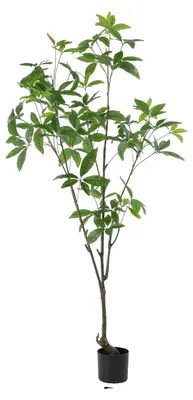 Immagine prodotto di Albero dei soldi artificiale, decorazione d'interni, facile da curare, verde