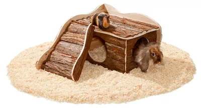Immagine prodotto di Casetta in legno naturale Karlie Wonderland, con rampa, 40X50X25cm