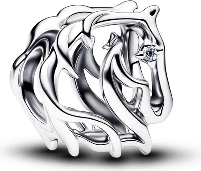 Produktbild von Pandora-Konto, 925Er Silber 794430C01